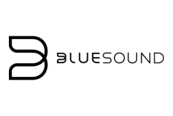 Logo partenaire bluesound